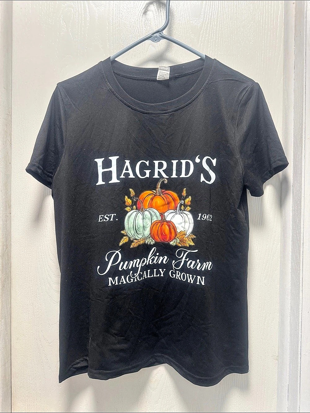 Graphic Pumpkin Farm Short Sleeve Tee in Black Like New